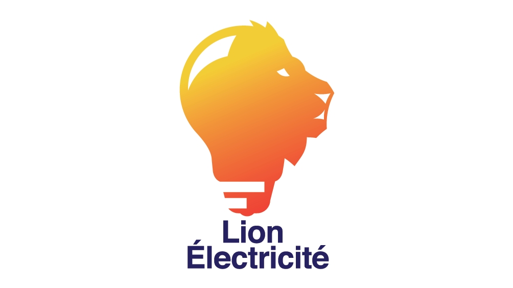 Lion Electricité — Photos 1
