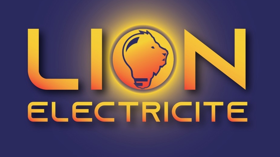 Lion Electricité — Photos 2