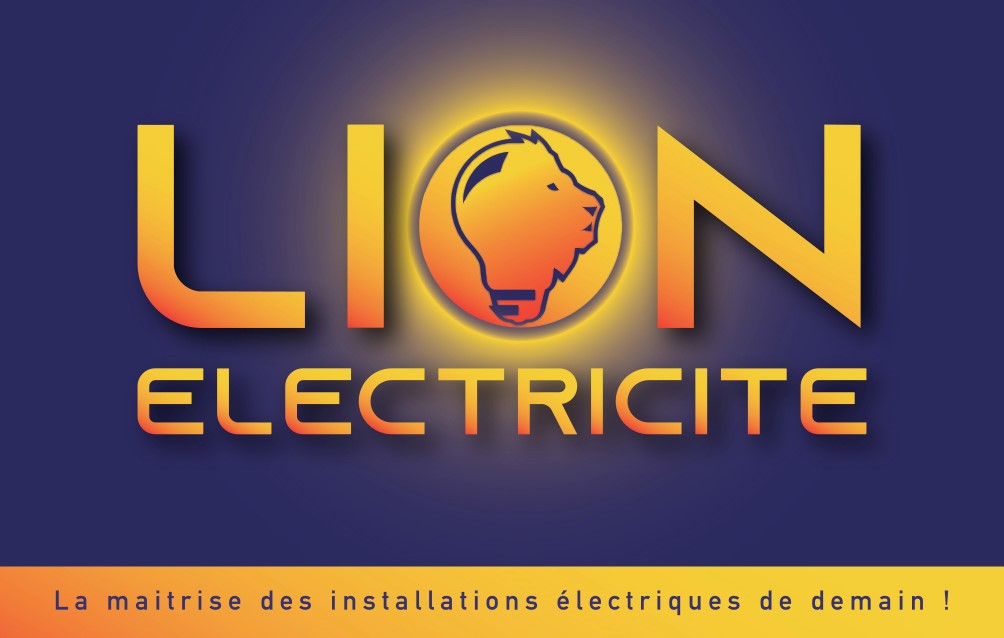 Lion Electricité — Photos 3